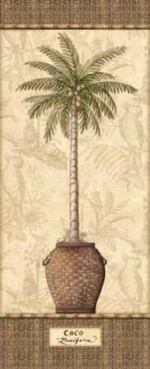 Botanical Palm III Poster Print by Charlene Audrey - Item # VARPDXAUD048
